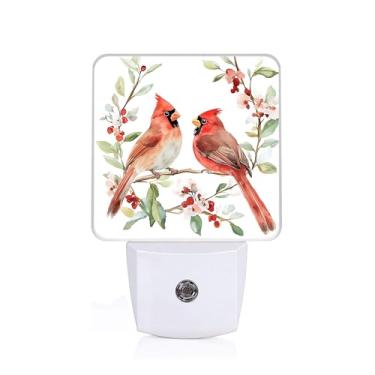 Imagem de Cosharkly Luz noturna de pássaro cardeal vermelho, luzes noturnas em aquarela conectadas à parede, lâmpada de LED para escada/corredor/quarto, luz noturna de 0,5 W, adequada para dormir