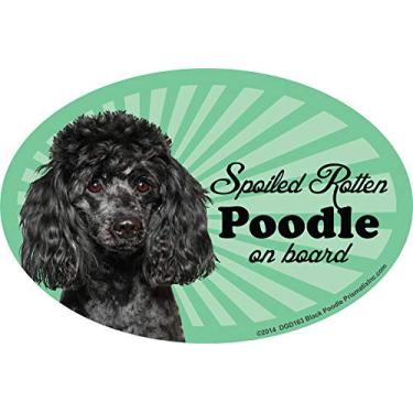 Imagem de Poodle (Preto) Ímãs de carro: Poodle podre mimado (preto) - Oval 15 cm x 10 cm Auto/caminhão/geladeira/caixa de correio (decalques de carro engraçados, ímã de cachorro, Poodle (preto)