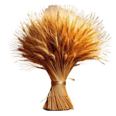 Imagem de Talos De Trigo Secos — Adequados Para BuquêS, Arranjos De Mesa, DecoraçõEs De Casamento E Festas.(100)