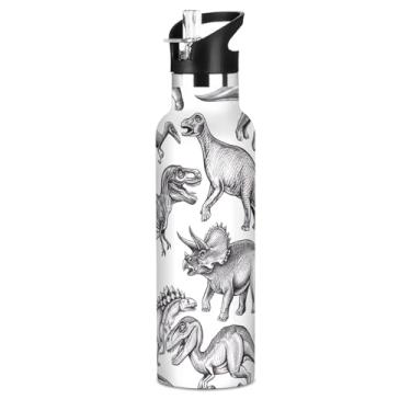 Imagem de Garrafa de água de aço inoxidável isolada de 590 ml com tampa de canudo para bebidas frias ou quentes, dinossauros vintage, cinza, branco, à prova de vazamento, parede dupla, copos infantis para