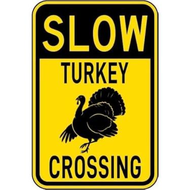 Imagem de Placa de metal vintage com cruz na Turquia, arte de parede engraçada para casa, escritório e sala de aula, pôster 20 x 30 cm