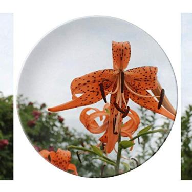 Imagem de Prato de lírio Orange River decorativo de porcelana Salver louça de jantar