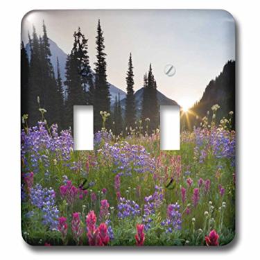 Imagem de 3dRose LLC lsp_95663_2 Pincel indiano, Lupine, Mt Rainier Np, Washington Us48 Glu0143 Gary Luhm interruptor duplo