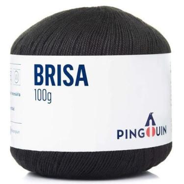 Imagem de Linha Brisa Verão 100g - Pingouin, 0100 PRETO