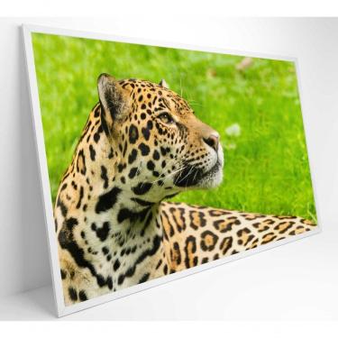 Imagem de Quadro Onça Pintada No Pantanal Medidas 60x40 Cm Tipo De Impressão Vidro Acrílico