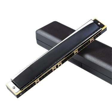 Imagem de Gaita Profissional Profissional 24 Furos Polifônico 28 Acento C Instrumento Gaita (Tipo 7)