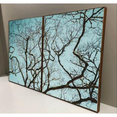 Imagem de Conjunto com 2 quadros decorativos galhos secos e céu azul. - 4lGaleri