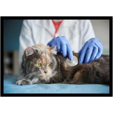 Imagem de Quadro Decorativo Medicina Consultórios Veterinários Pet Shop Com Mold
