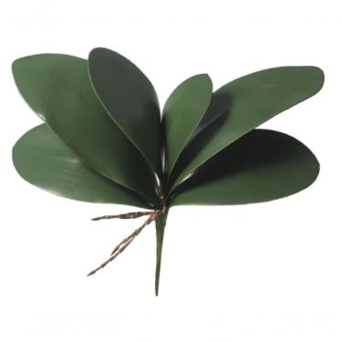 Imagem de Folha Orquidea Phalaenopsis C-arame X6 (verde) 33cm