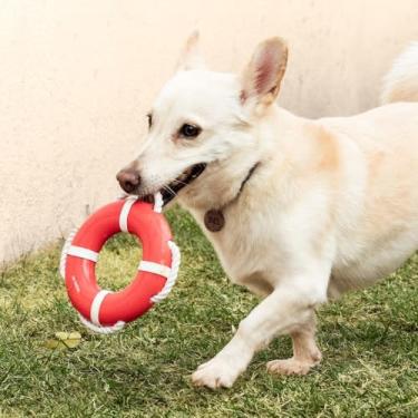 Imagem de Boia com Corda para Cães – Brinquedo Aquático Flutuante + Higiene Bucal | Resistência, Diversão e Exercício