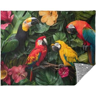 Imagem de TSENQUE Cobertores de sofá de pássaros tropicais florais papagaios personalizados para cama sofá mantas mais macias para sofá 177,8 cm x 139,7 cm cobertor de pelúcia cinza