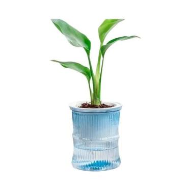 Imagem de Vaso De Flores Hidropônico Transparente De Plástico De Dupla Camada Co