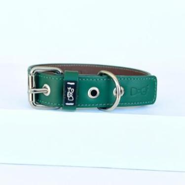 Imagem de Coleira para Cachorro em couro - Honey Niquel - Four Dogs, Verde escur