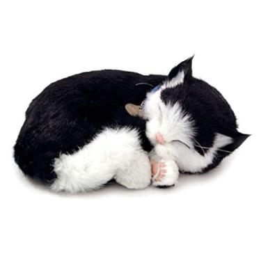 Imagem de Filhote de Gato Black e White Shorthair, Perfect Petzzz, Imex, Com Acessórios