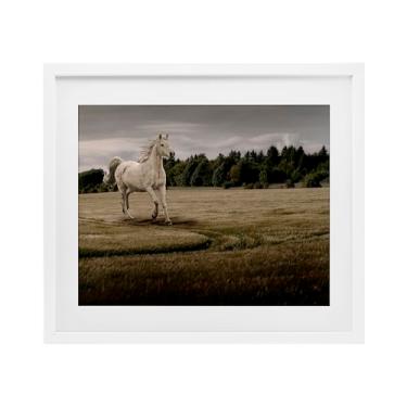 Imagem de Stupell Industries Impressão emoldurada branca de cavalo de campo galopando por Marcus Prime, 43 x 53 cm