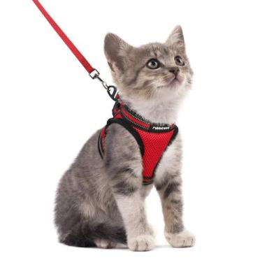 Imagem de Conjunto de arnês e coleira para gatos rabbitgoo Walking Escape Proof 