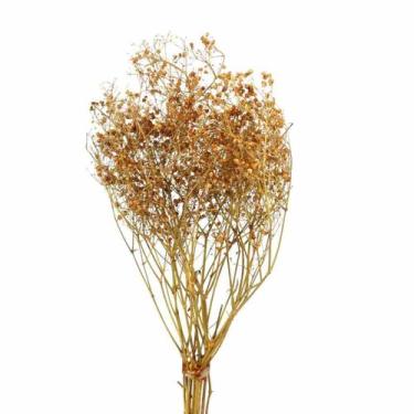 Imagem de Sementinha Amarela Desidratada p/ Decoração - Pense Flores