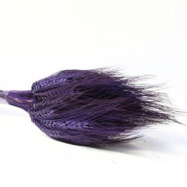 Imagem de Trigo Roxo Desidratado p/ Decoração - Pense Flores