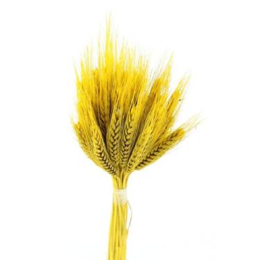 Imagem de Trigo Amarelo Desidratado p/ Decoração - Tem Flores