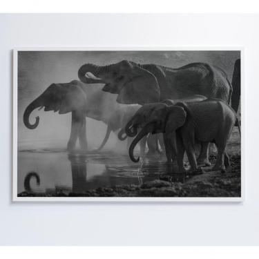 Imagem de Quadro Elefantes 60x40 Cm Adesivo Fotográfico