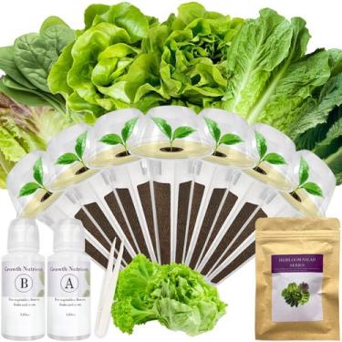 Imagem de Kit de Cápsulas de Sementes apoloseedic para Verduras Hidropônicas com