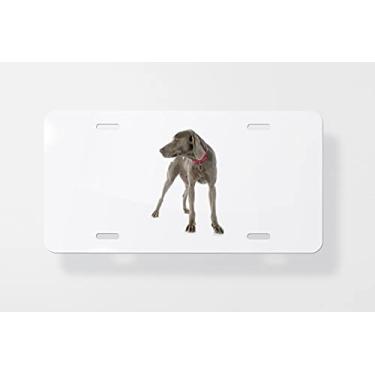 Imagem de Capa para placa de carro Weimaraner 5 – Capa para placa de carro – Capa para moldura da placa de carro 15 x 30 cm