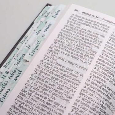 Imagem de Abas Adesivas para Bíblia  Jornada com Deus Através das Escrituras  Fl