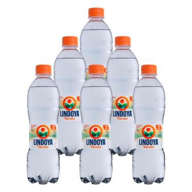 Imagem de Água Mineral Lindoya Verão com Gás 510ml 6 Unidades