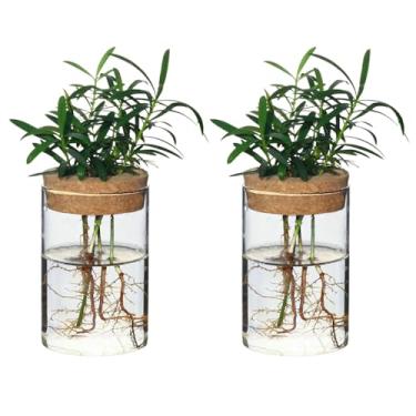 Imagem de wangsdjy Vasos de flores de vidro de mesa separados com pires de madeira - estações de propagação de plantas ideais para sala de estar, decoração de quarto, decoração de casa (2 peças)