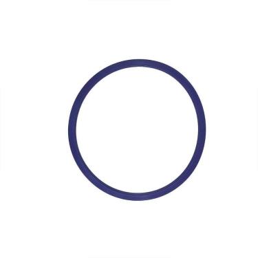 Imagem de Guarnição / Anel De Vedação Autoclave Alt 42 / 65 Lts Azul