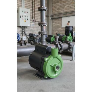 Imagem de Bomba Centrífuga 1/3CV Monofásica 220V Verde Água Limpa - Congratulati