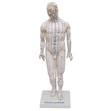 Imagem de Manequim de Acupuntura Masculino de 50 cm Modelo Anatômico