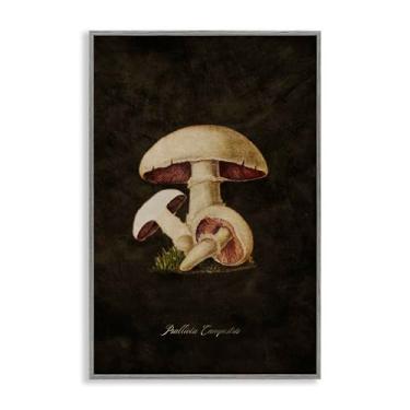 Imagem de Stupell Industries Arte de parede giclée emoldurada de cogumelo Portobello vintage por Tina Higgins Designs, Inc., moldura cinza, 40 x 61 cm