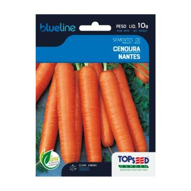 Imagem de Sementes de Cenoura Nantes, 10g, Clima Temperado, Cultivo em Horta
