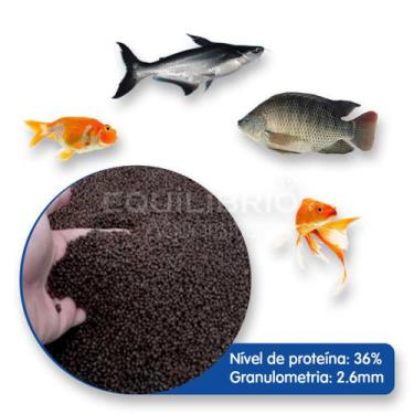 Imagem de Ração para Carpas, Kinguios, Tilápias e outros 1 Kg - Equilíbrio Aquar