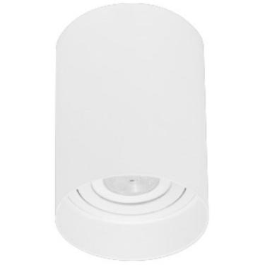 Imagem de Plafon Sobrepor Direcionavel Redondo Branco E27 Par20 Zan95