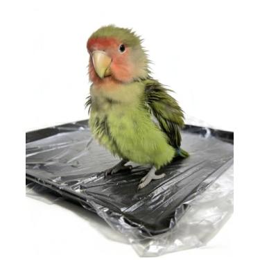 Imagem de Sacos de forro descartáveis para gaiola de pássaros, pacote com 100 - Capas de bandeja de plástico grandes de 78,7 cm x 58,4 cm | Design solto para fácil instalação | Serve na maioria das gaiolas