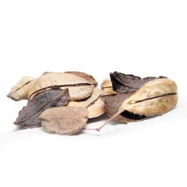 Imagem de Pau Santo Casca Desidratado p/ Decoração - Pense Flores