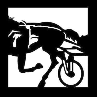 Imagem de Quadro decorativo cavalo trote