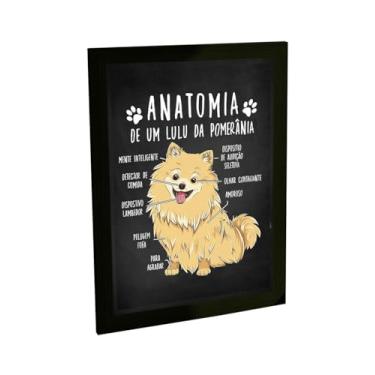 Imagem de Quadro Decorativo Engraçado Cachorro Anatomia Raça Spitz Lulu Da Pomerânia