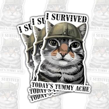 Imagem de Adesivo de vinil com 3 peças I Survived Today's Tummy Ache – Gato guerreiro engraçado com capacete militar decalque de vinil para laptop, garrafa de água, diário, caderno, copo – presente para amantes