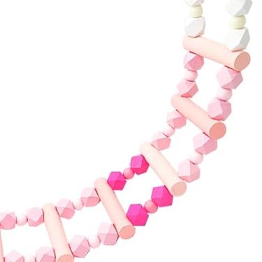 Imagem de AYNEFY Ponte para Pássaros, Balanço de Madeira para Araras, Calopsitas e Periquitos Com Corte Fino e Instalação Flexível para Brincadeiras Interativas (#4)