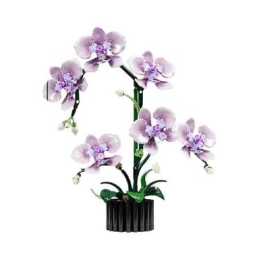 Imagem de Orquídea Cymbidium Phalaenopsis Flores Eternas Em Vaso Blocos De Monta