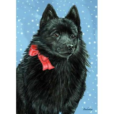 Imagem de Pipsqueak Schipperke Christmas Cards : 10 Holiday Cards with Red Envelopes - ADORABLE!L8