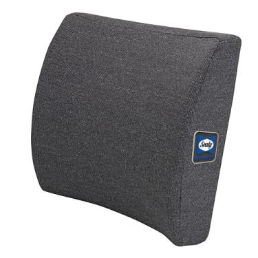 Imagem de Sealy Almofada de suporte lombar de espuma viscoelástica – Almofada ergonômica para cadeiras de escritório e assentos de carro, alívio de dor lombar premium e conforto multiuso (cinza)