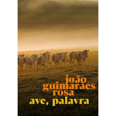 Imagem de Livro - Ave, Palavra