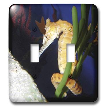 Imagem de 3dRose Interruptor duplo em torno de cavalo Sea Me lsp_7891_2, multicolorido