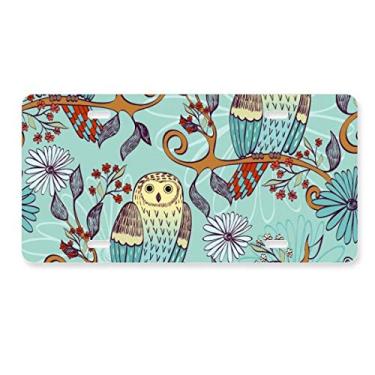 Imagem de DIYthinker Placa de licença Blue Flower Owl Protect Animal Pet Lover Decoração de placa de carro de aço inoxidável