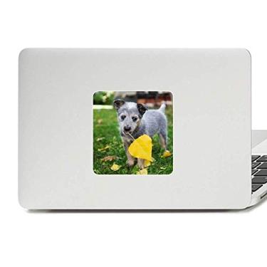 Imagem de Lindo filhote de cachorro de estimação fotografia decalque vinil paster laptop decoração PC