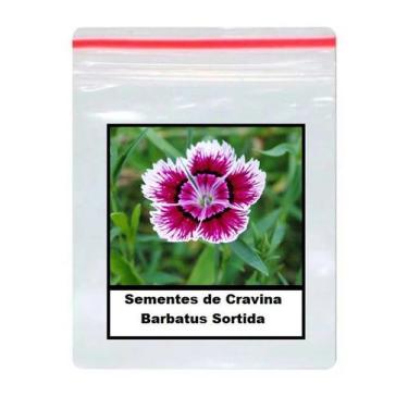 Imagem de Sementes de Cravina Barbatus Sortida 100 unidades - ISLA